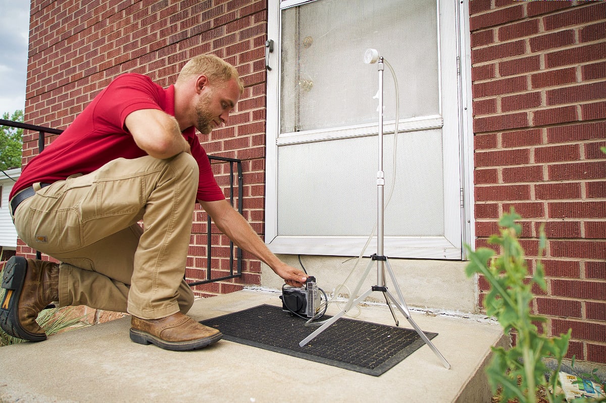 Mold removal