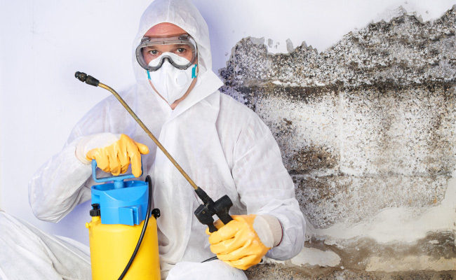 Mold removal